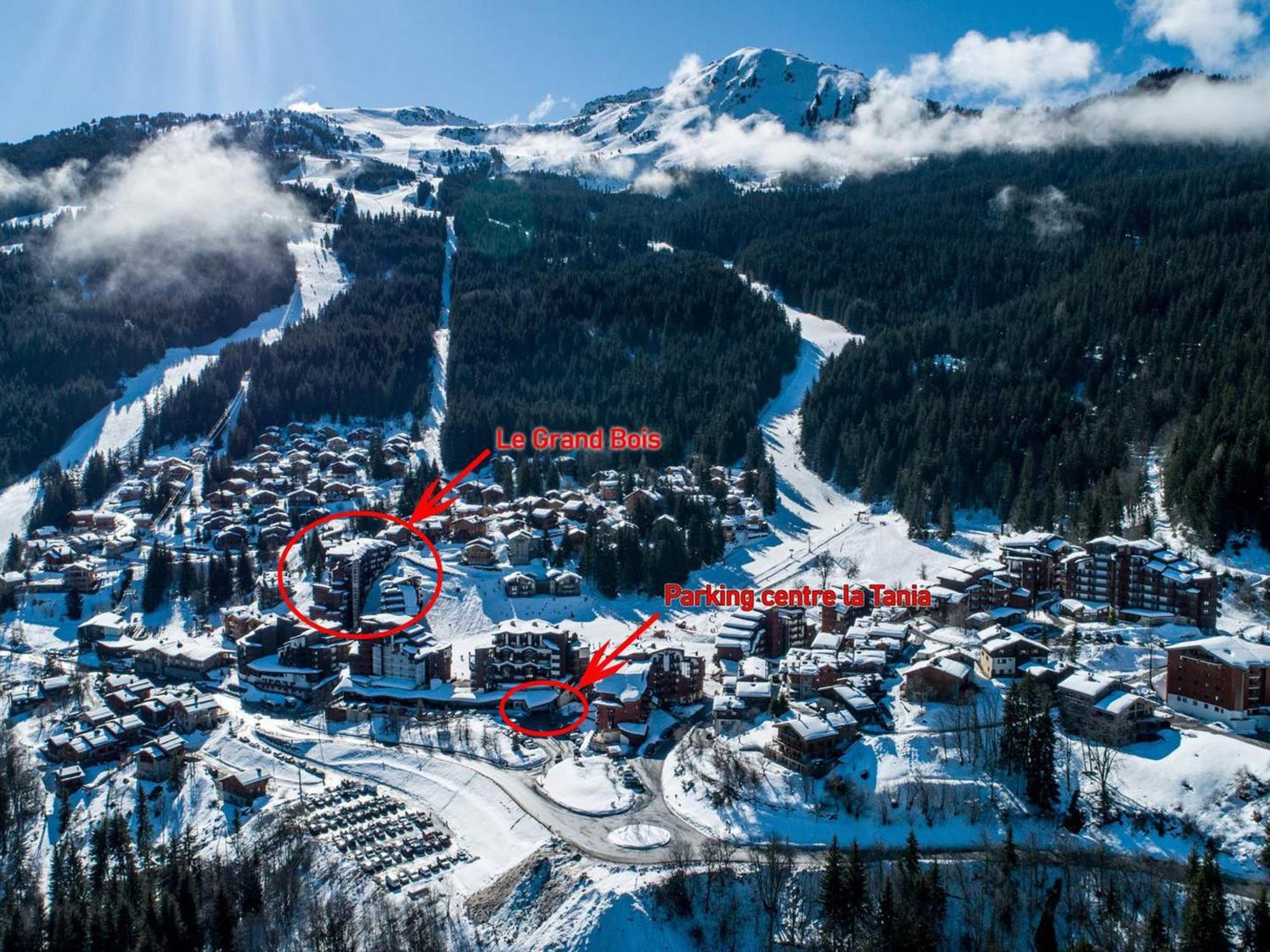 La Tania, 2 Pièces, 4 Personnes - Fr-1-182a-17 *